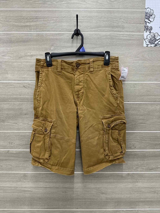 American Eagle Size 30 Men Mens Shorts