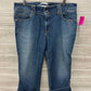 GAP Size 12 Blue Womens Jeans