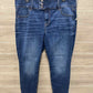 American Eagle Size 16 Short Blue Petite Jeans