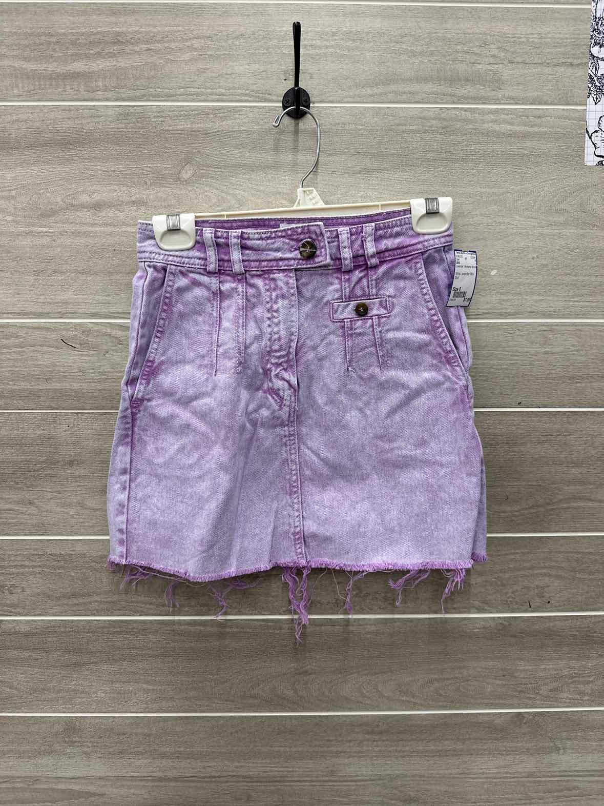 BDG Size 0 Lavender Womens Skirt