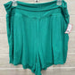 AERIE Size XL Green Womens Shorts