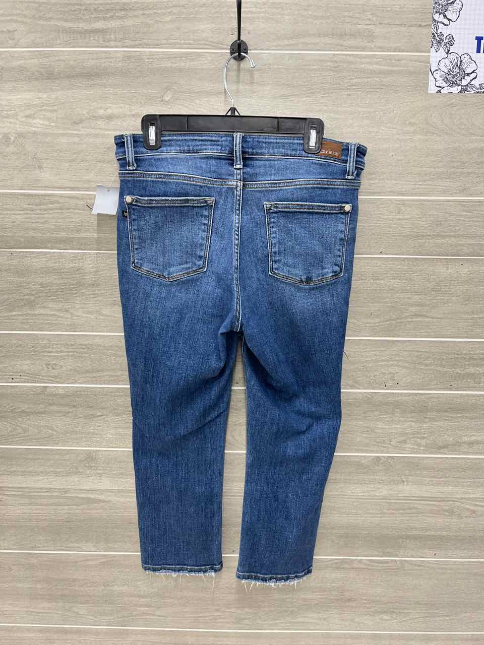 Judy Blue Blue Womens Women Size 9/10 Jeans