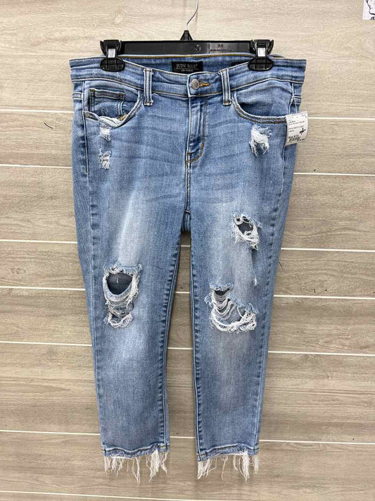 Judy Blue Blue Womens Women Size 9/10 Jeans