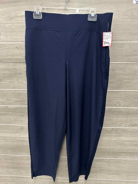 Kirkland Size L Navy Womens Pants