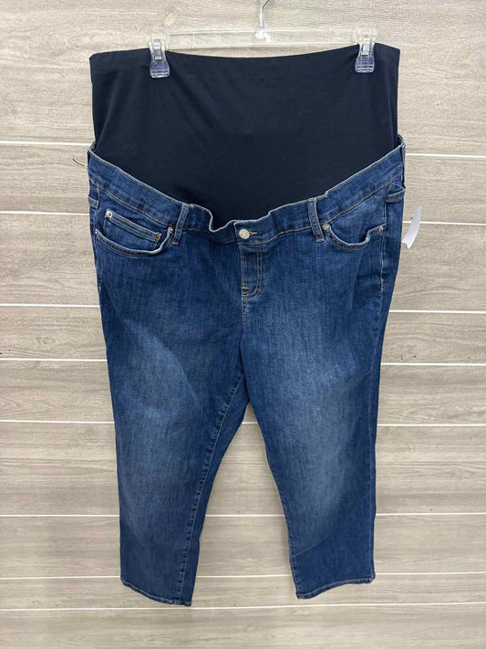 GAP Blue Maternity Women Size 16 Short Jeans