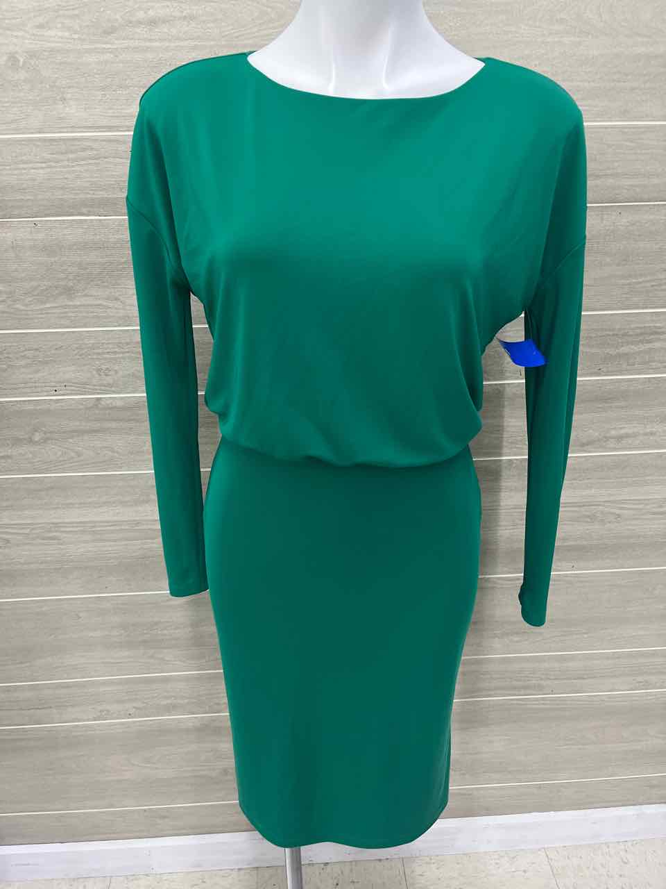 Ann Taylor Size 4P Green Petite Dress