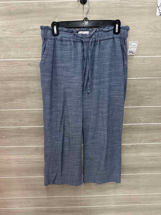 PACT Size 10 Blue Womens Pants
