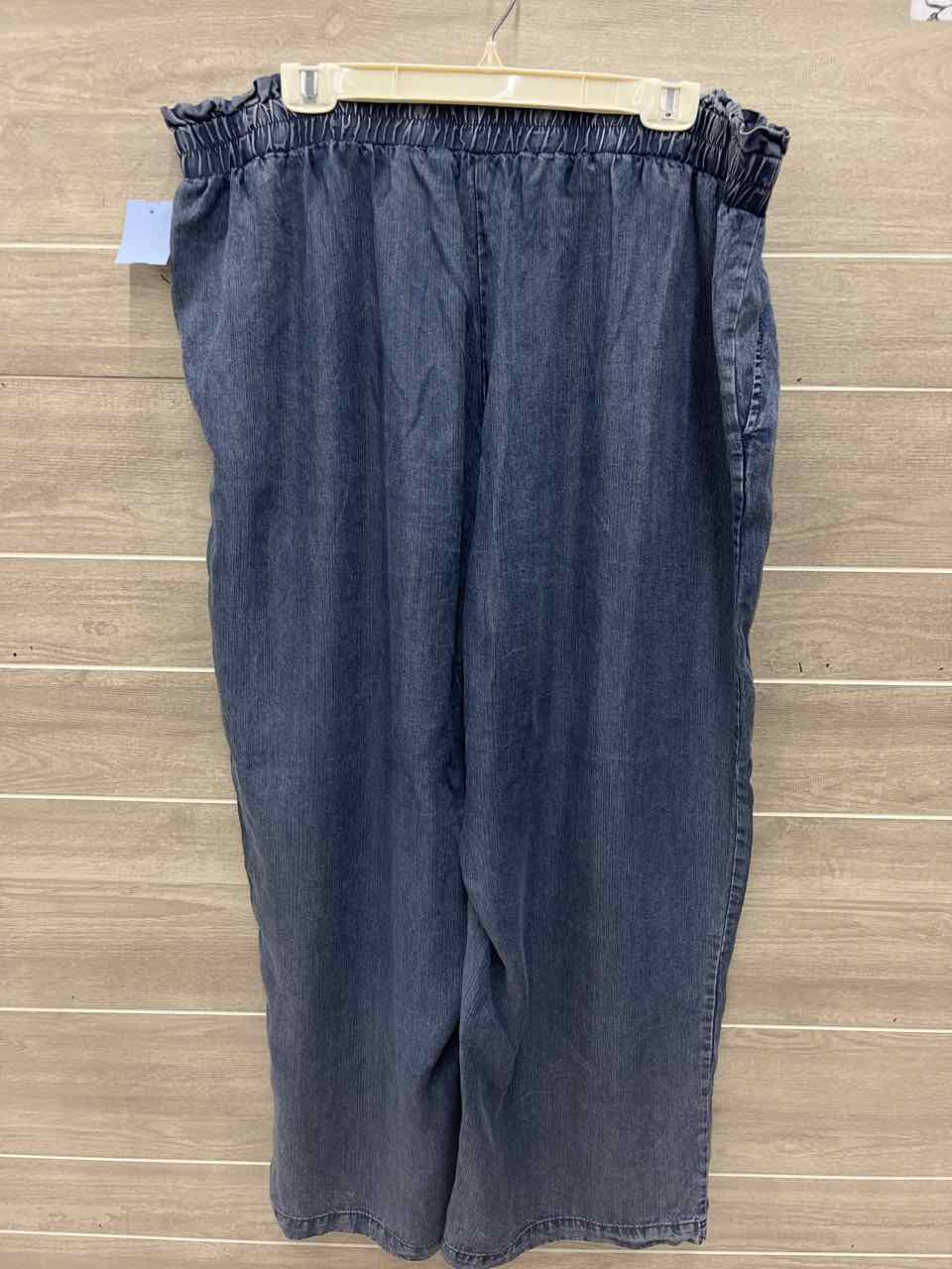 Jane & Delancey Size 2X Blue Womens Pants