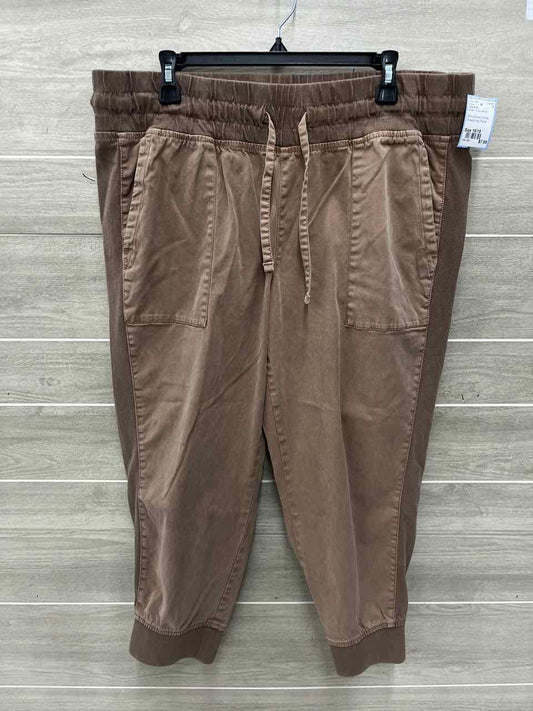 Time & Tru Size 16/18 Brown Plus Pants