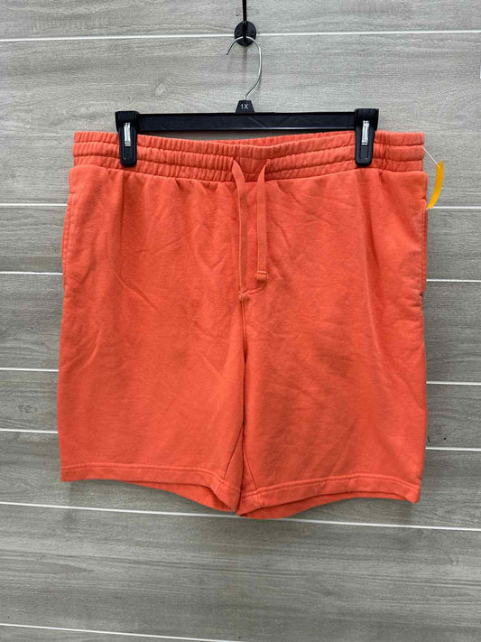 No Boundaries Size 36 Mens Shorts