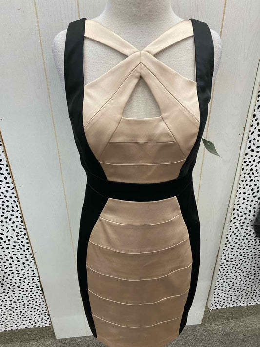 Cache Black Womens Size 8 Dress