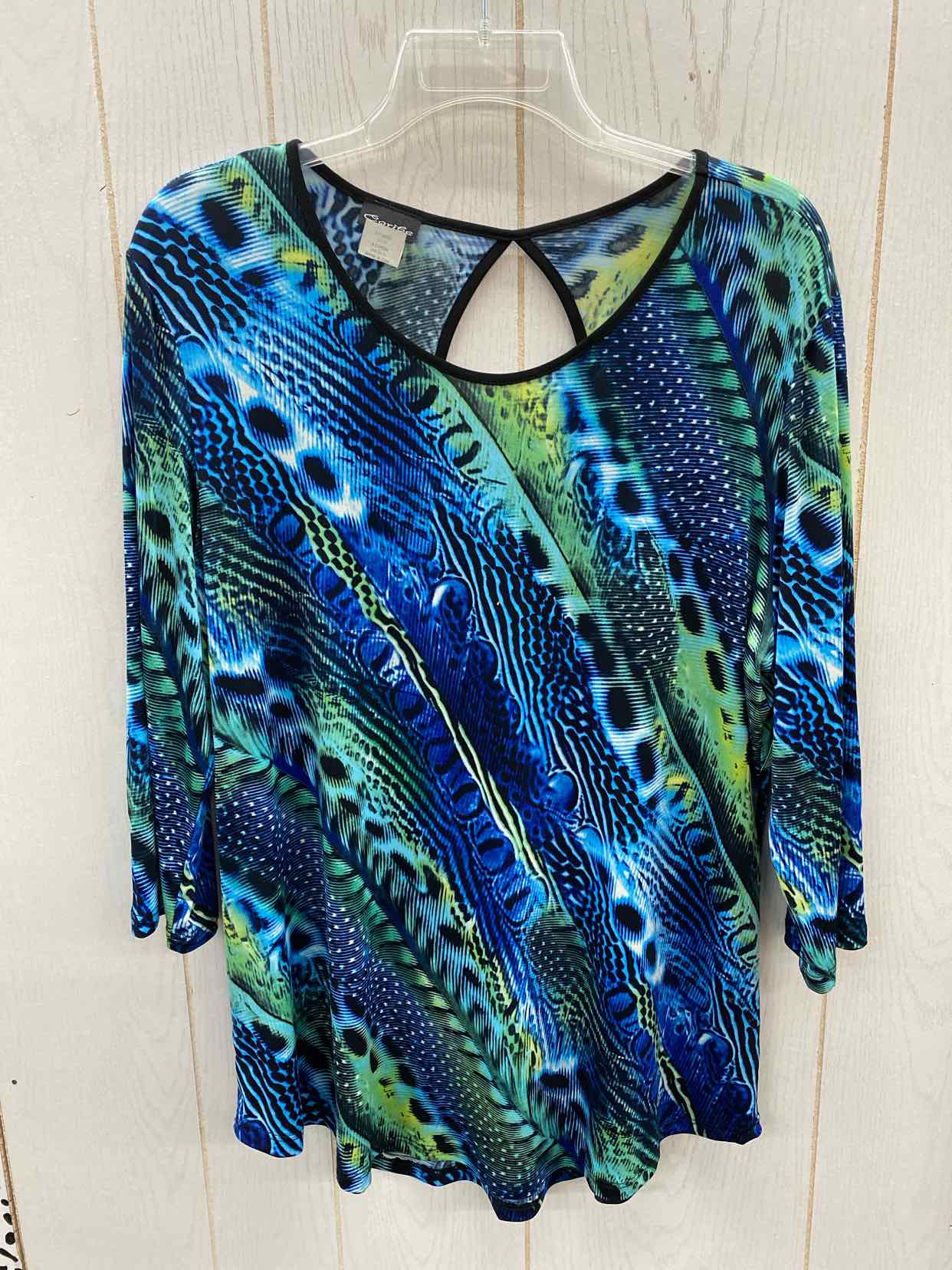 Blue Womens Size XL Shirt