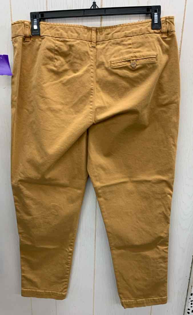 Coldwater Creek Tan Womens Size 14P Pants