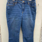 Talbots Silver Womens Size 14P Jeans