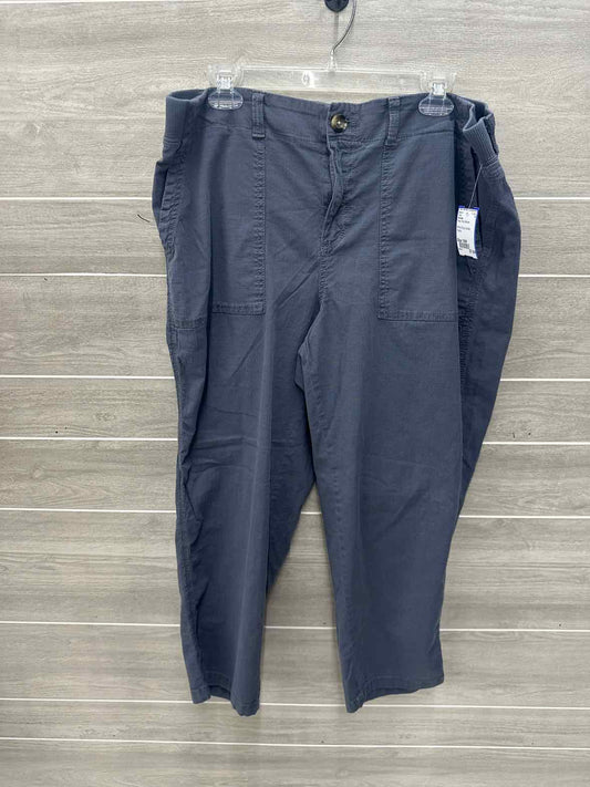Sonoma Size 16W Gray Plus Pants