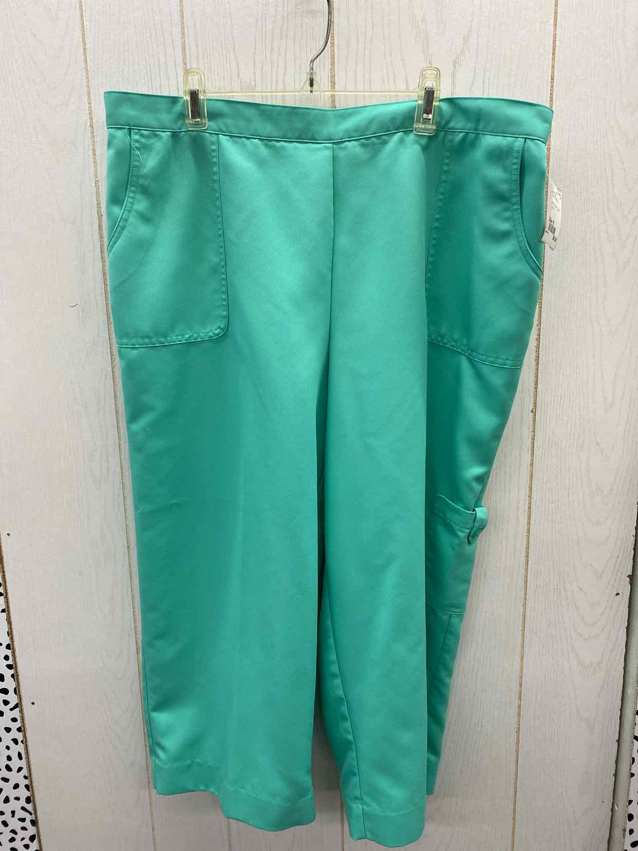 Alfred Dunner Green Womens Size 16 Pants