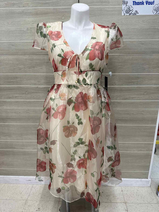 BCBG Maxazria Size 18 Red Womens Dress