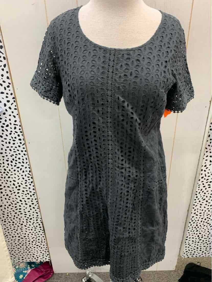 Sundance Gray Womens Size 8 Dress