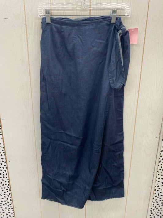 Liz Claiborne Blue Womens Size 4P Skirt
