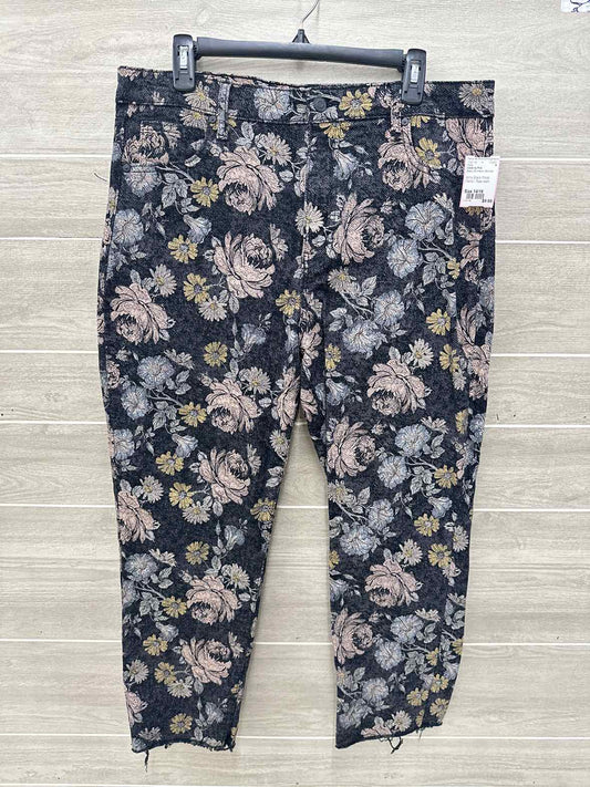 Celebrity Pink Size 14/16 Black Womens Pants