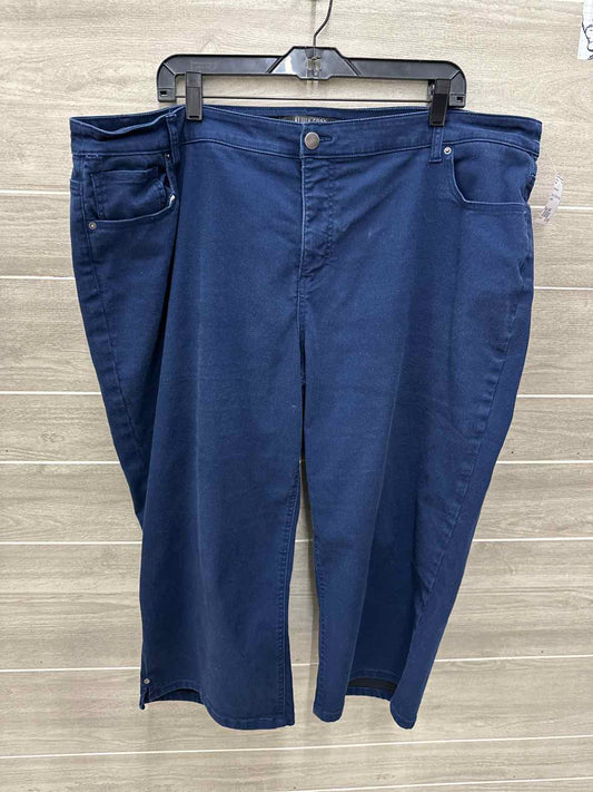 Blue Womens Size 24W Jeans