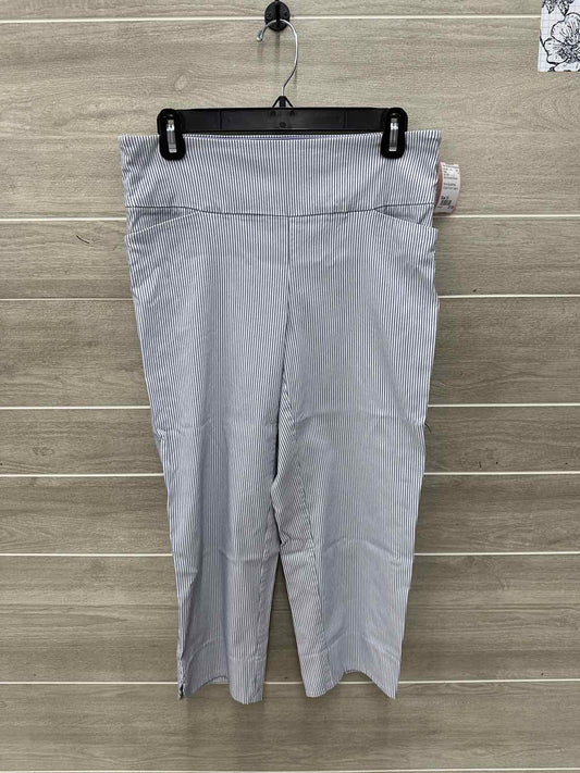 S.C. & Co Size 10 Blue Womens Pants