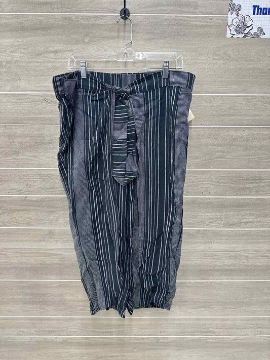 Maurices Size 16W Black Womens Pants