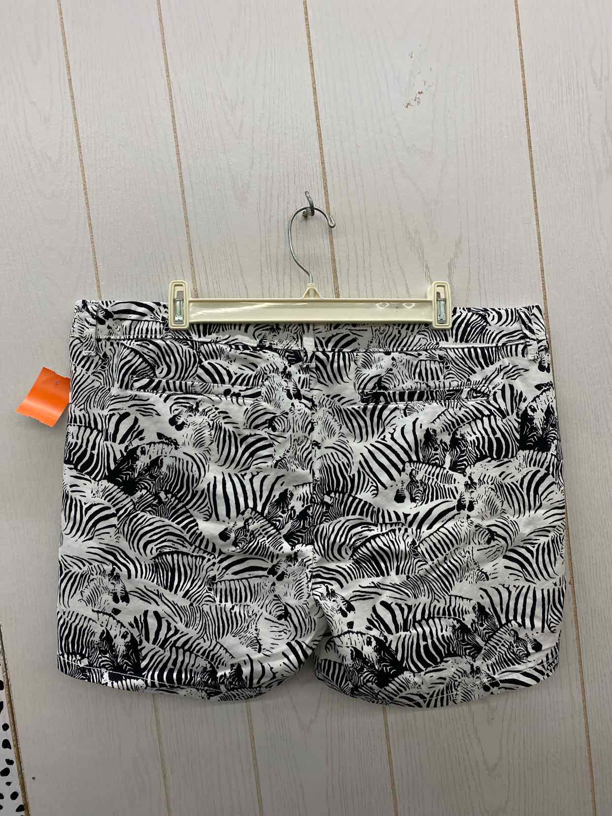 Liz Baker Black Womens Size 16 Shorts