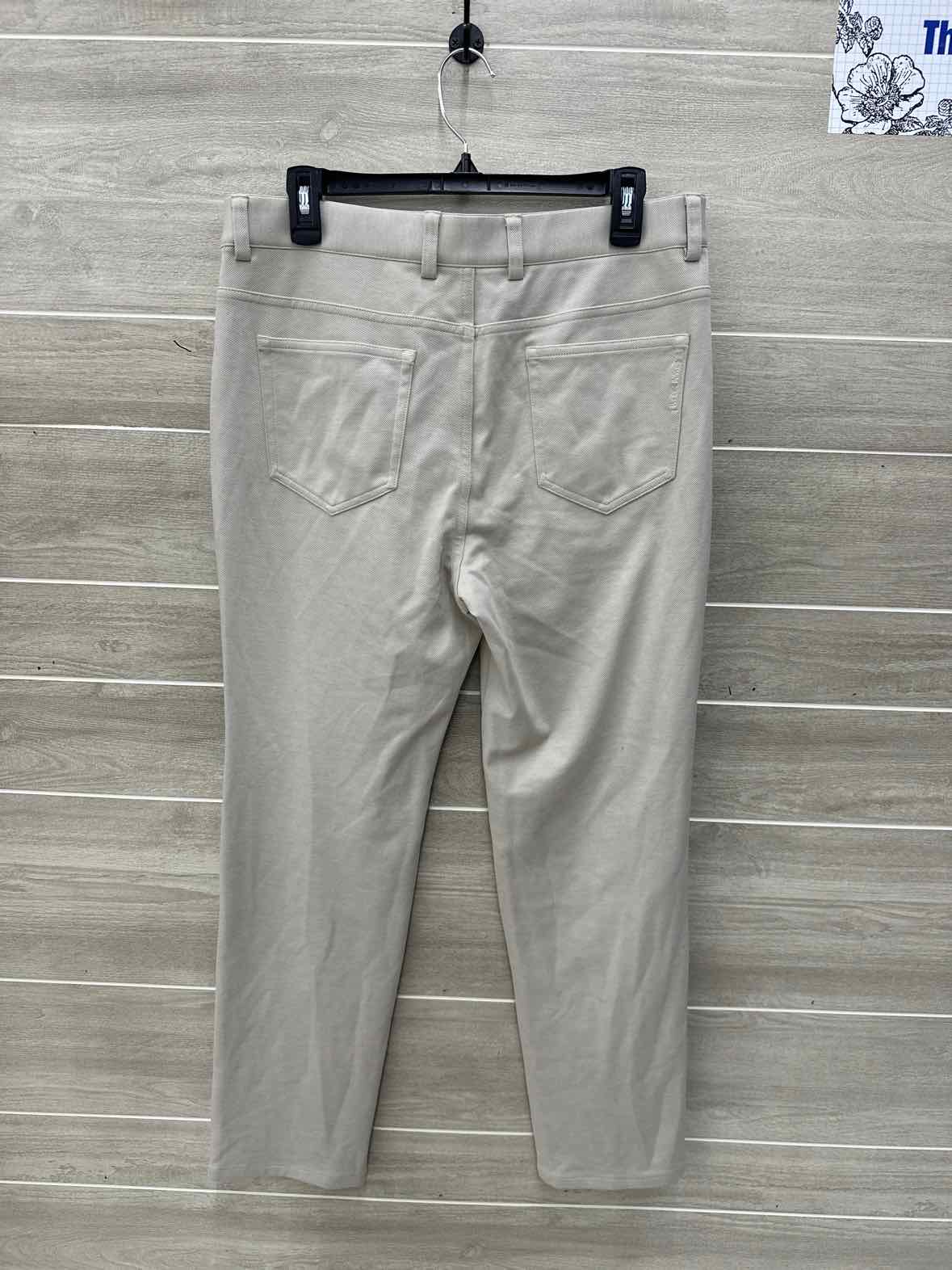 ODTailor Size 32/30 Men Mens Pants