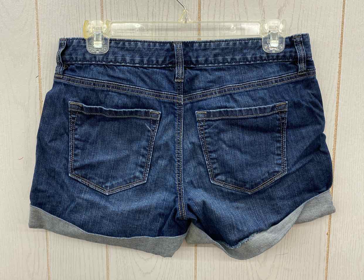 LOFT Blue Womens Size 4 Shorts