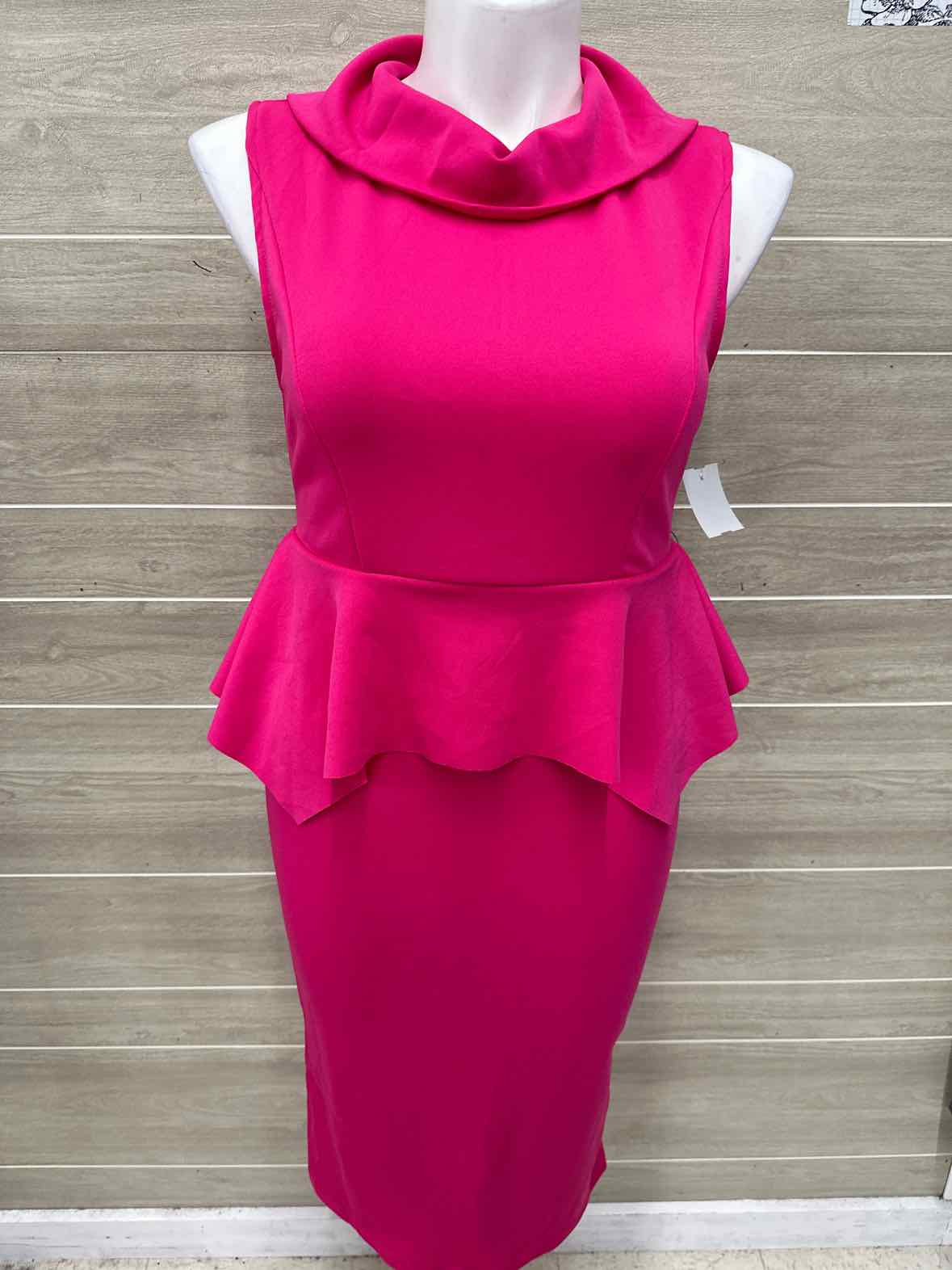 Size 10/12 Pink Womens Dress