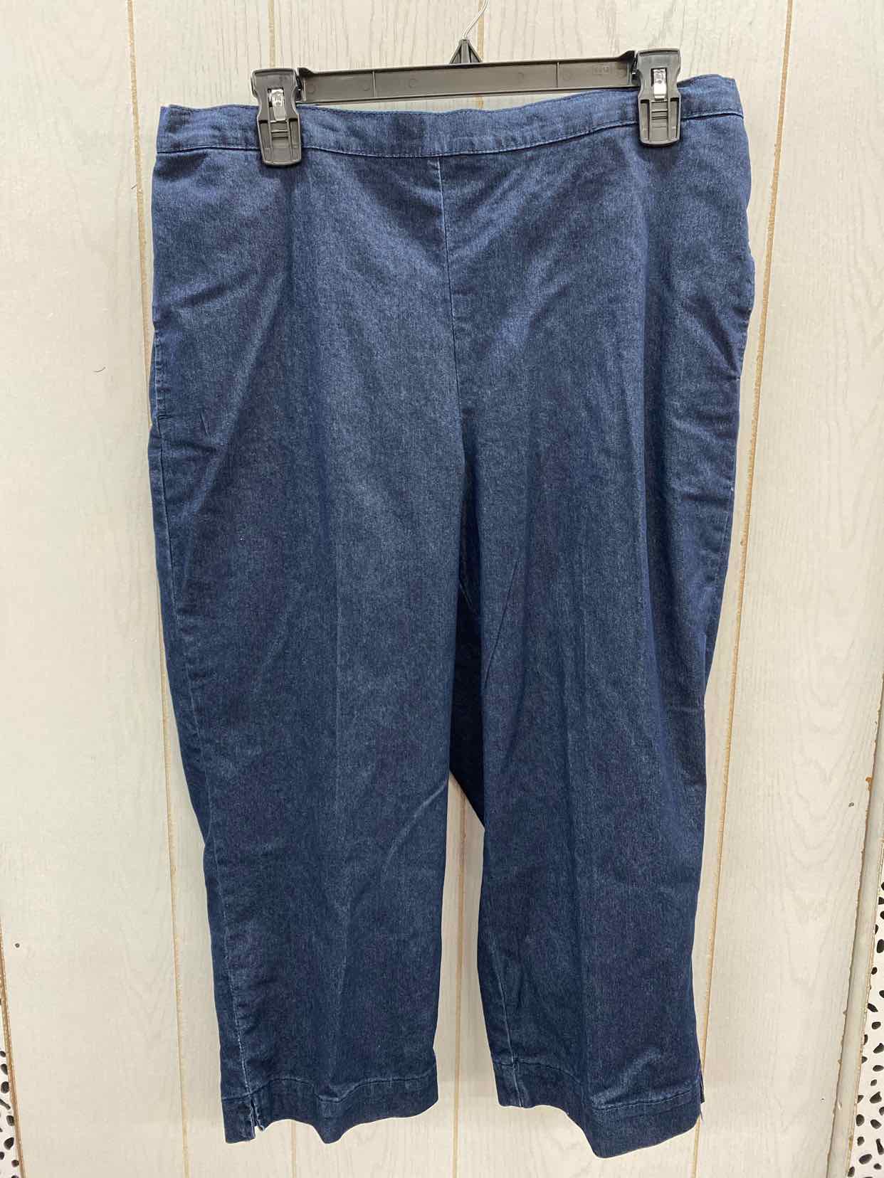 Alfred Dunner Blue Womens Size 12 Jeans