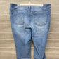 Time & Tru Blue Womens Women Size 18 Jeans