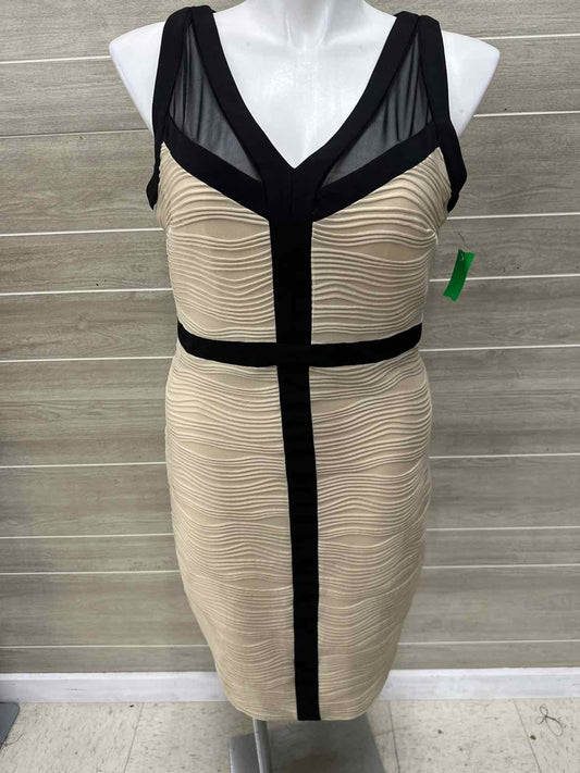 Dressbarn Size 16 Beige Womens Dress
