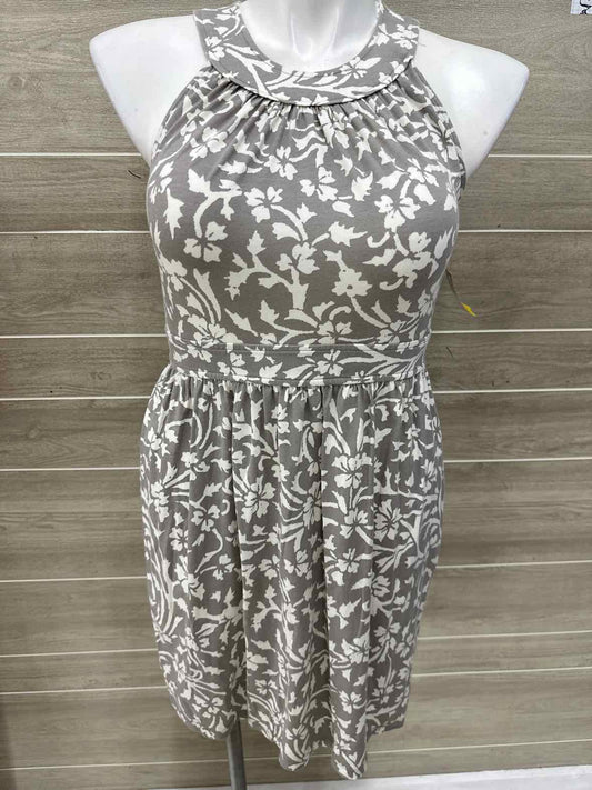 LOFT Gray Womens Women Size 10 Dress