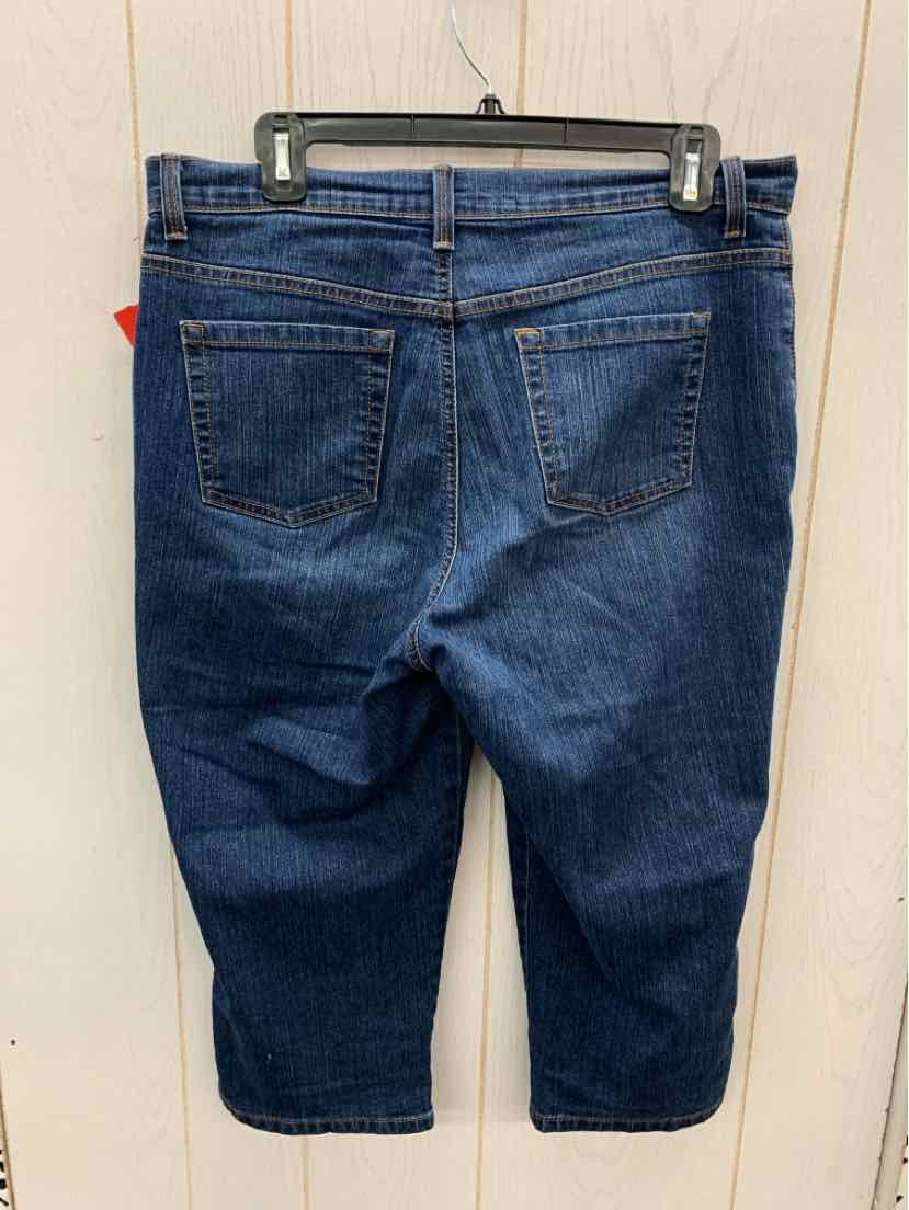 Gloria Vanderbilt Blue Womens Size 12P Jeans