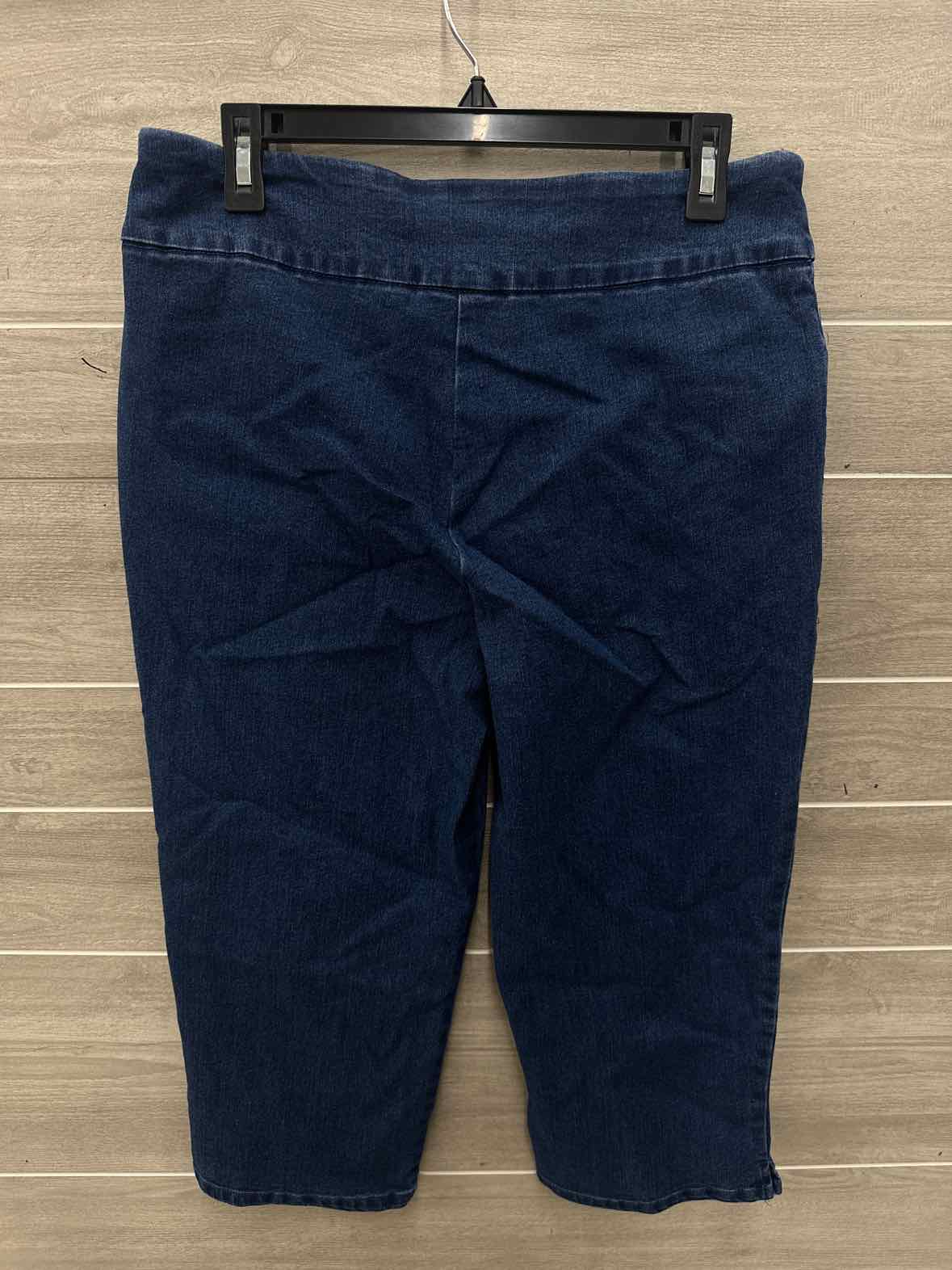 Alfred Dunner Size 10 Blue Womens Jeans