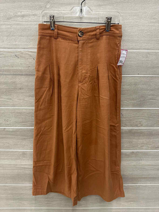 Good Luck Gem Size 0/1 Brown Womens Pants