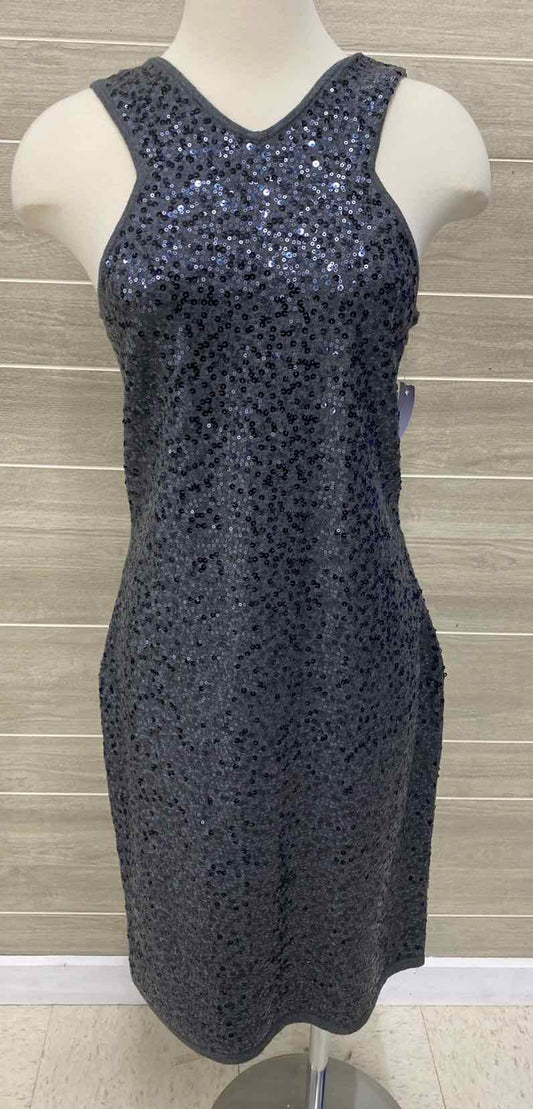 Ann Taylor Gray Womens Size 8/10 Dress