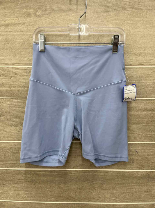AERIE Size M Blue Womens Shorts