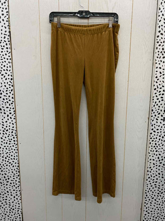 Brown Womens Size 6 Pants