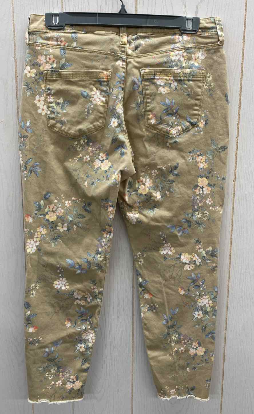 Bandalino Green Womens Size 6 Pants