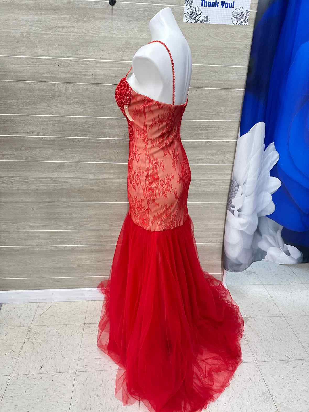 Size 8 Red Womens Gown/Evening Wear