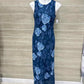 Size 10 Blue Womens Dress