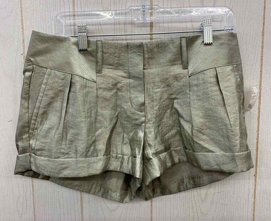 Express Silver Womens Size 6 Shorts