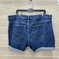 GAP Blue Womens Women Size 20 Shorts