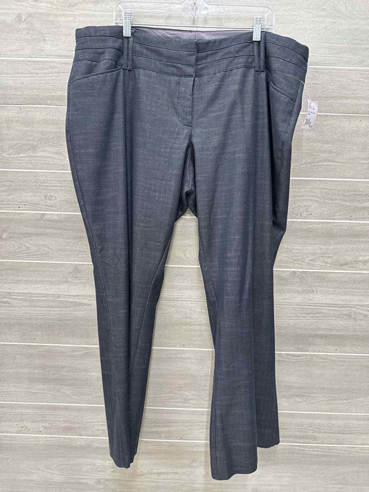 Maurices Size 22 Black Plus Pants