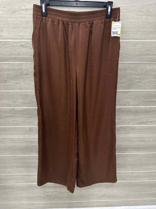 Brown Womens Women Size 10 Tall Pants