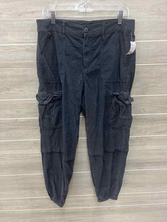 American Eagle Size 10 Gray Womens Pants