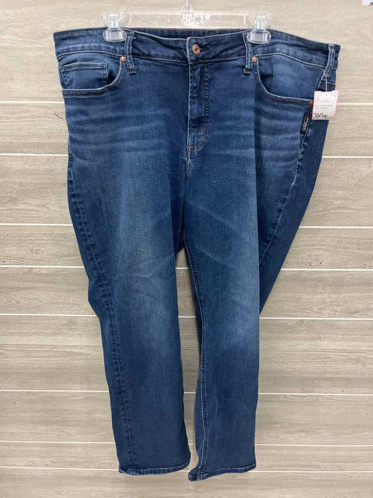 Silver Size 22 Blue Plus Jeans